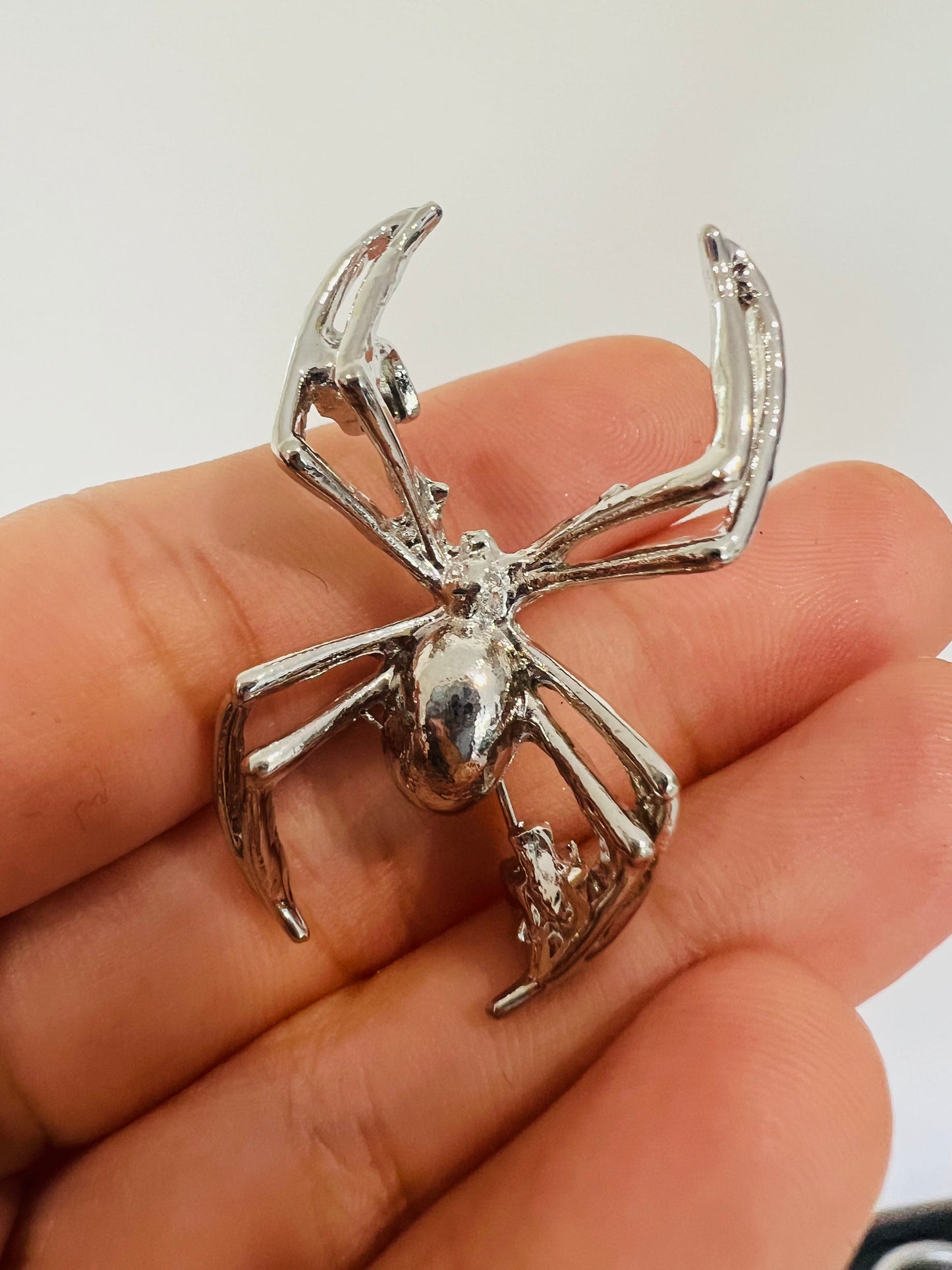 House Spider Brooch