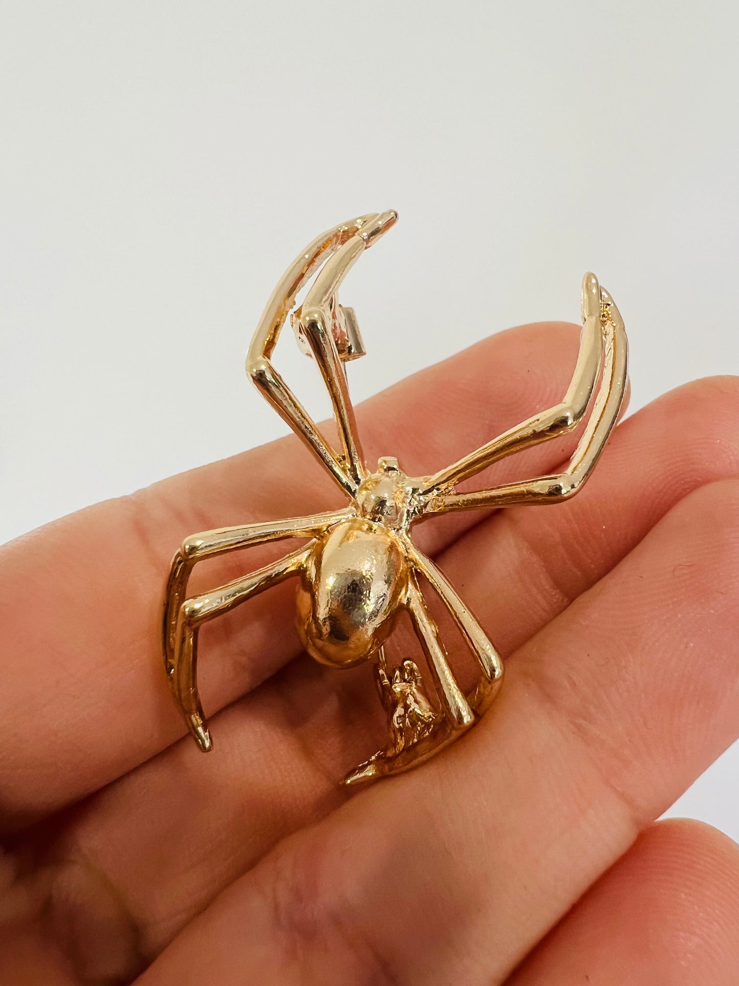 House Spider Brooch