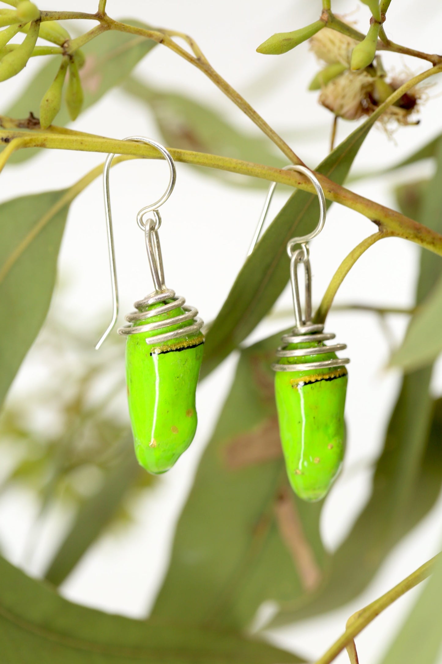Recycled Monarch chrysalis earrings - Green tone