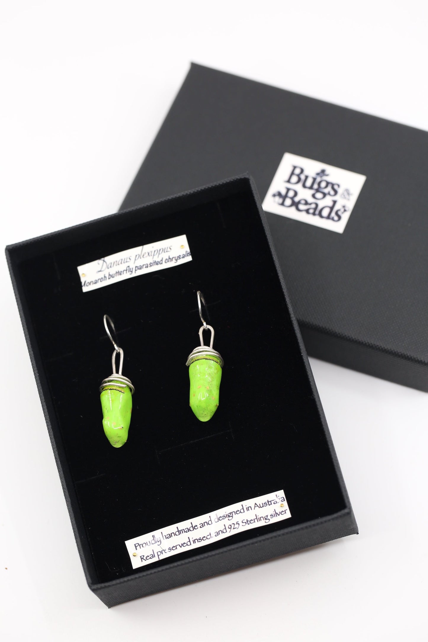Recycled Monarch chrysalis earrings - Green tone