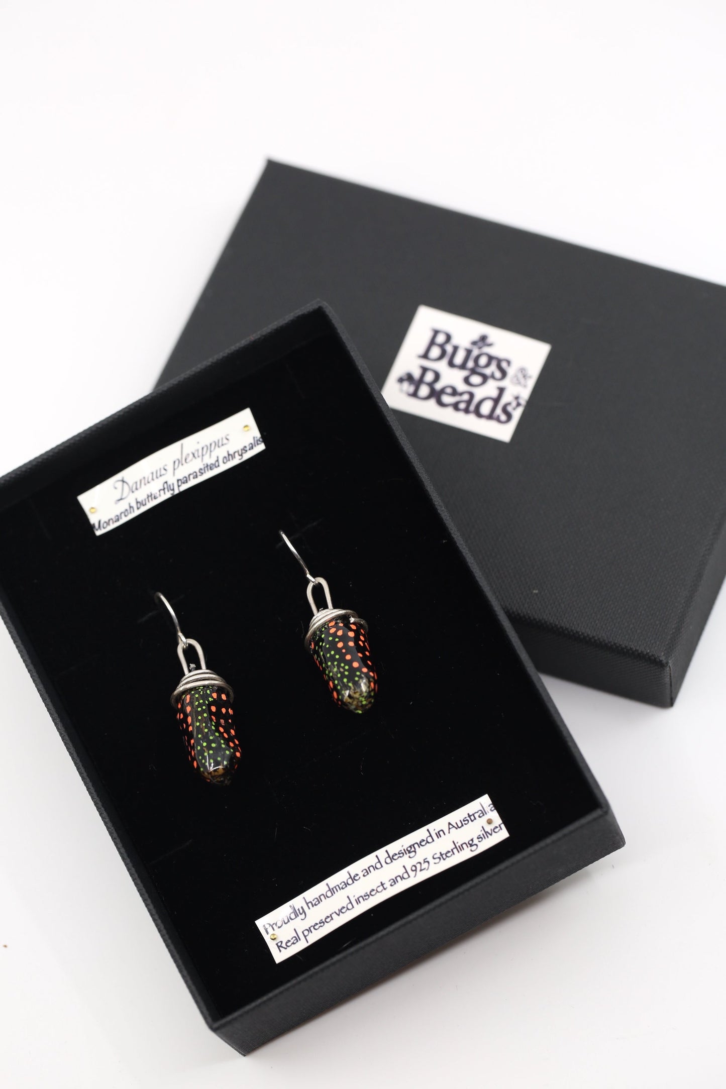 Recycled Monarch chrysalis earrings - Black tone