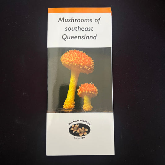 Mushrooms of Southest Queensland