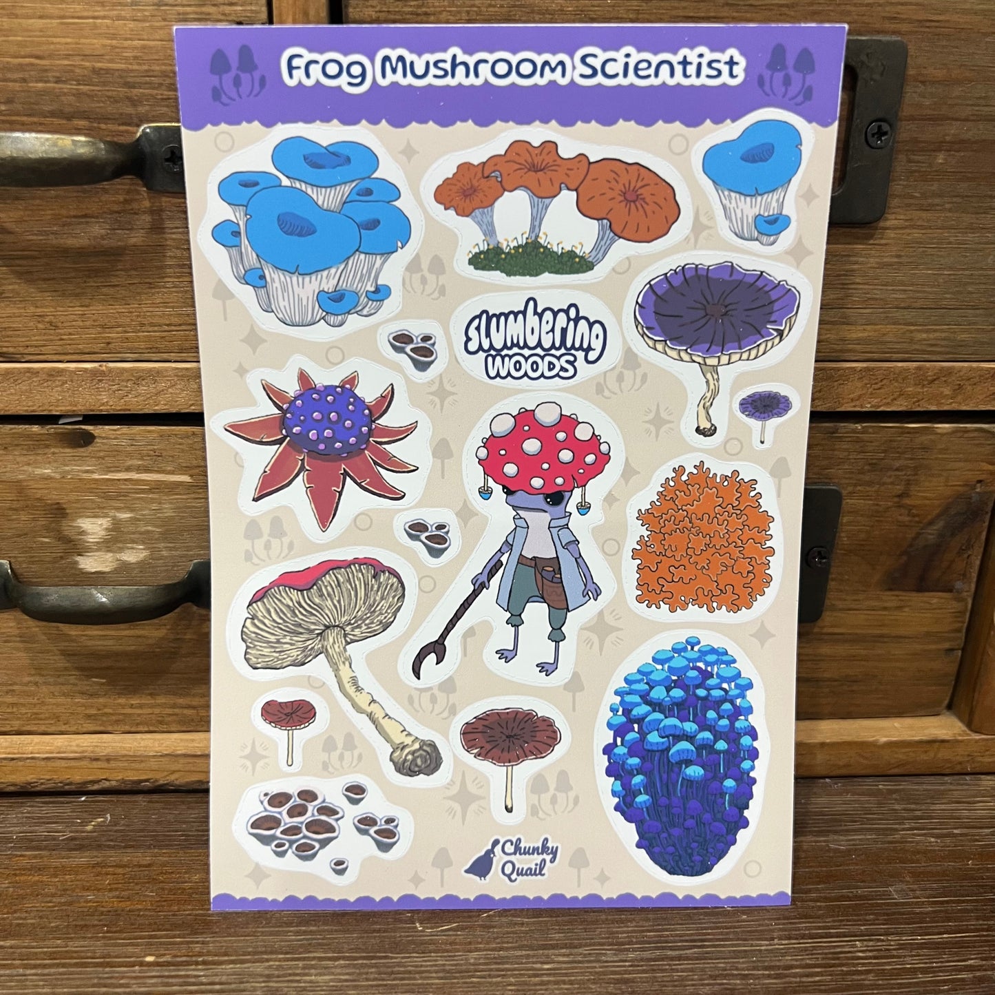 Frog Mushroom scientist - Sticker Sheet