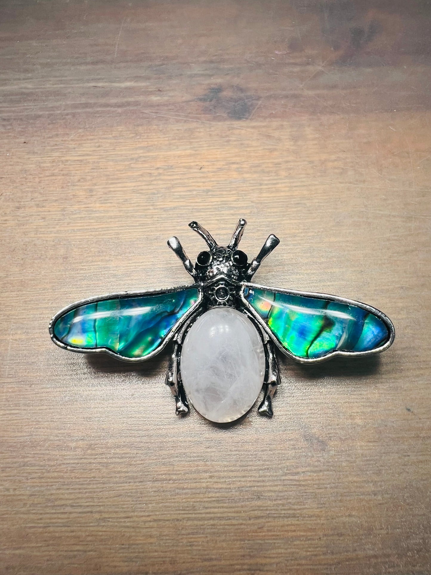 Bee Brooch - Paua