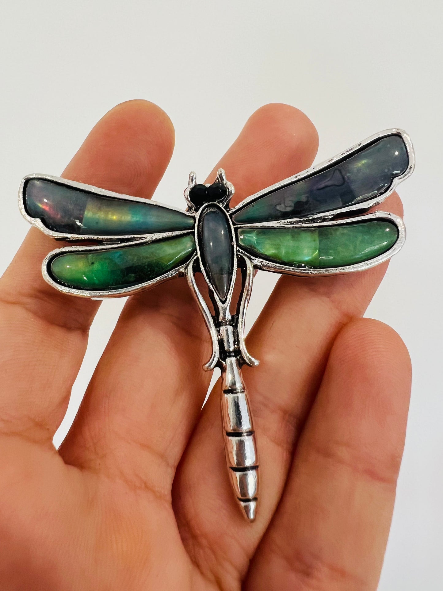 Paua shell Dragonfly Brooch