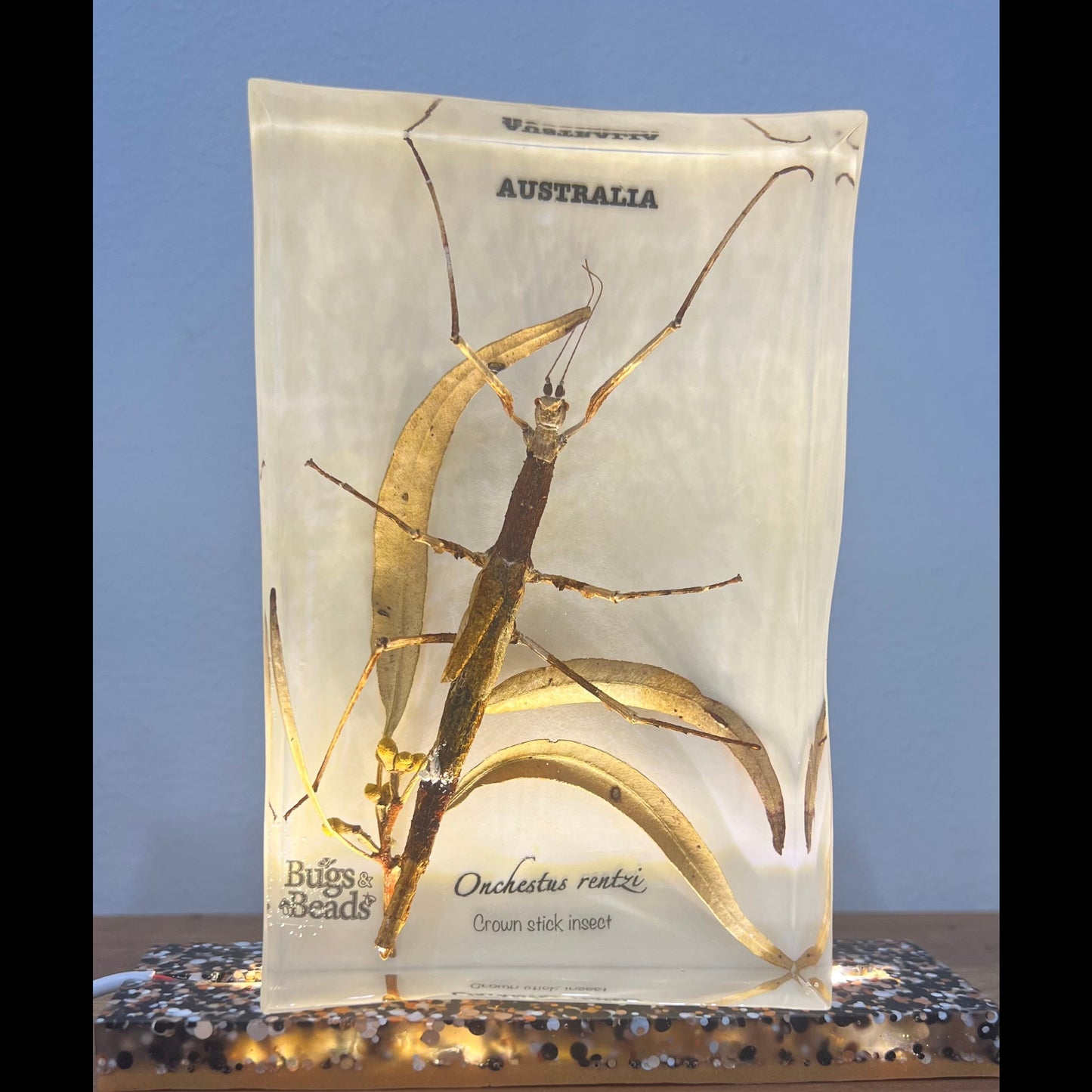 Custom Crown stick insect resin block