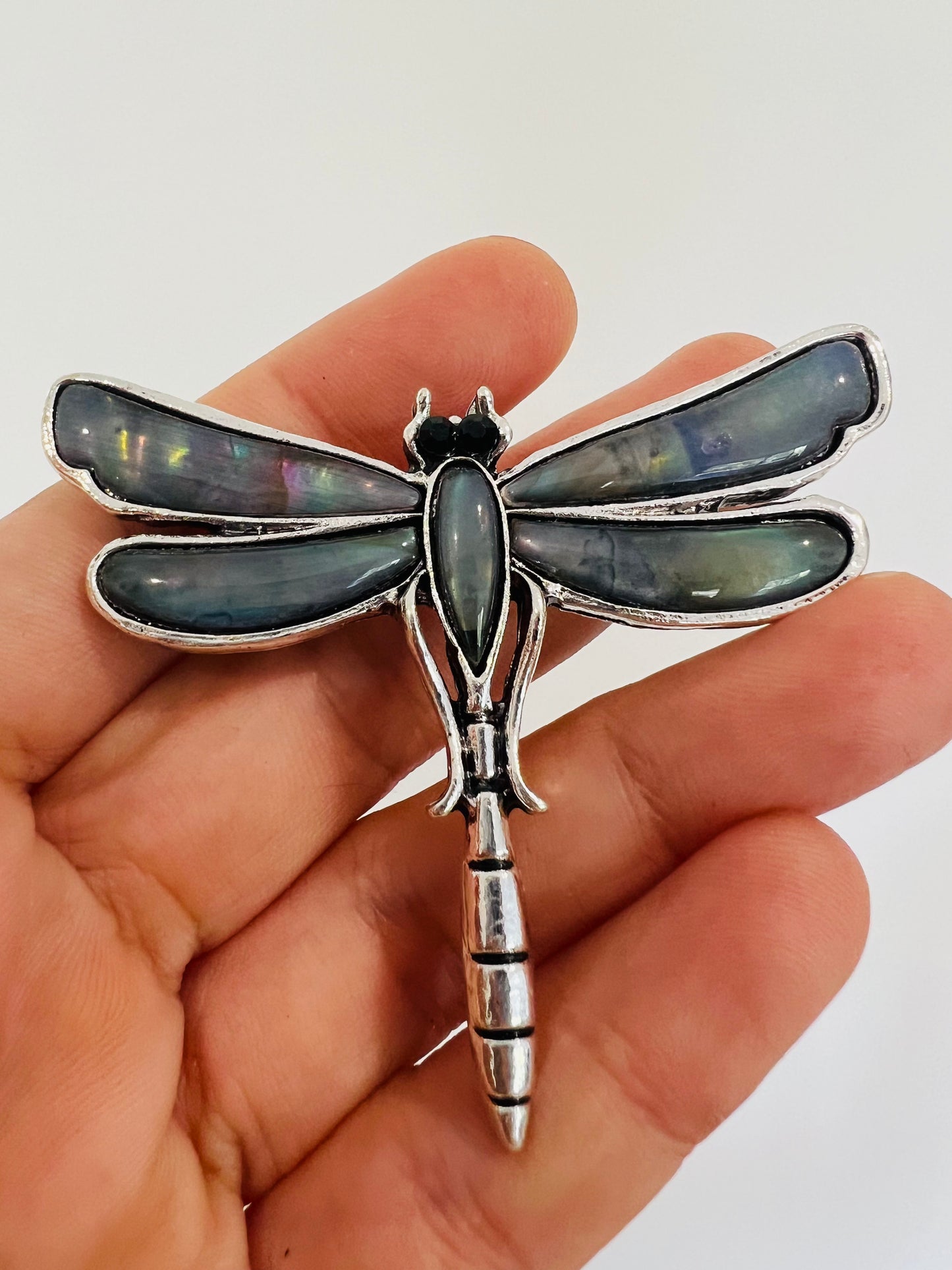 Paua shell Dragonfly Brooch