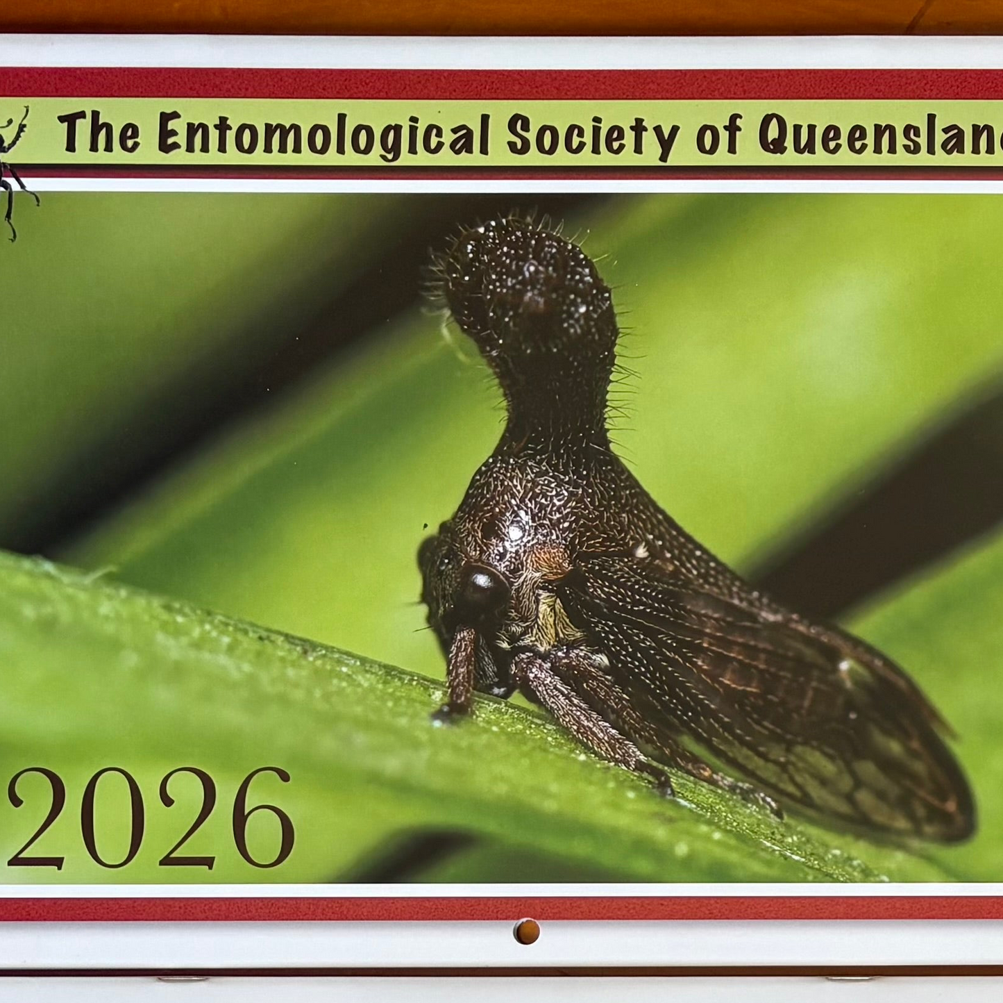 2026 Insect Calendar