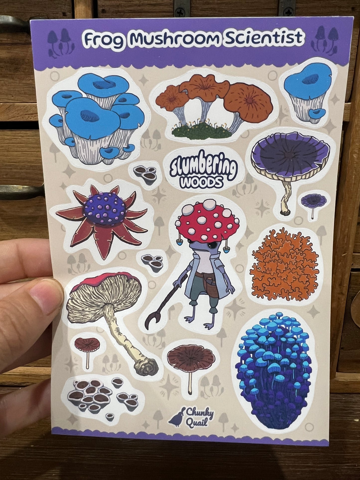 Frog Mushroom scientist - Sticker Sheet