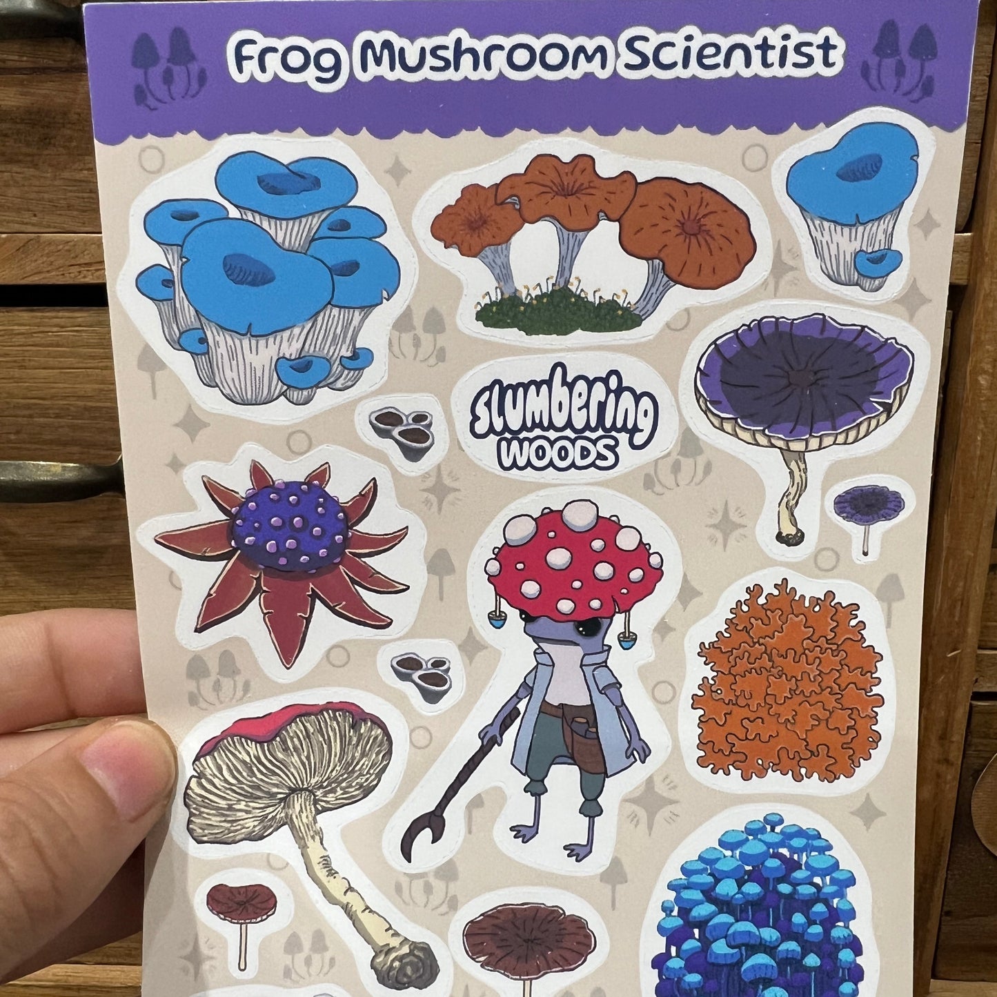 Frog Mushroom scientist - Sticker Sheet
