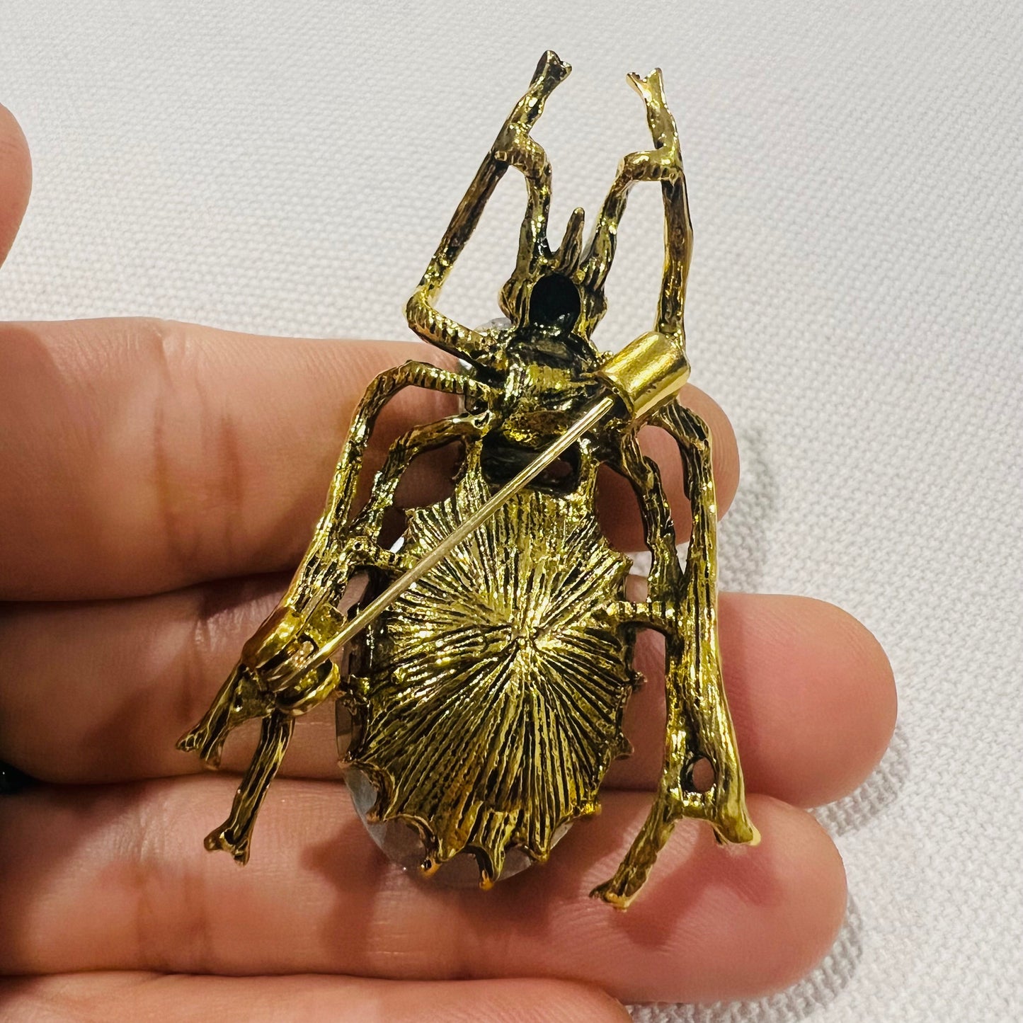 Timid beetle brooch