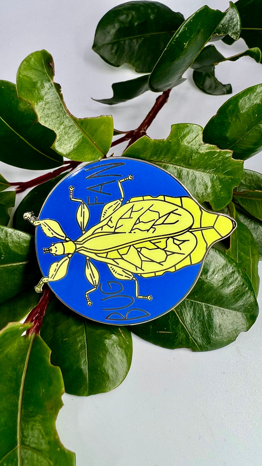 Bug fan - Monteith's Leaf insect pin