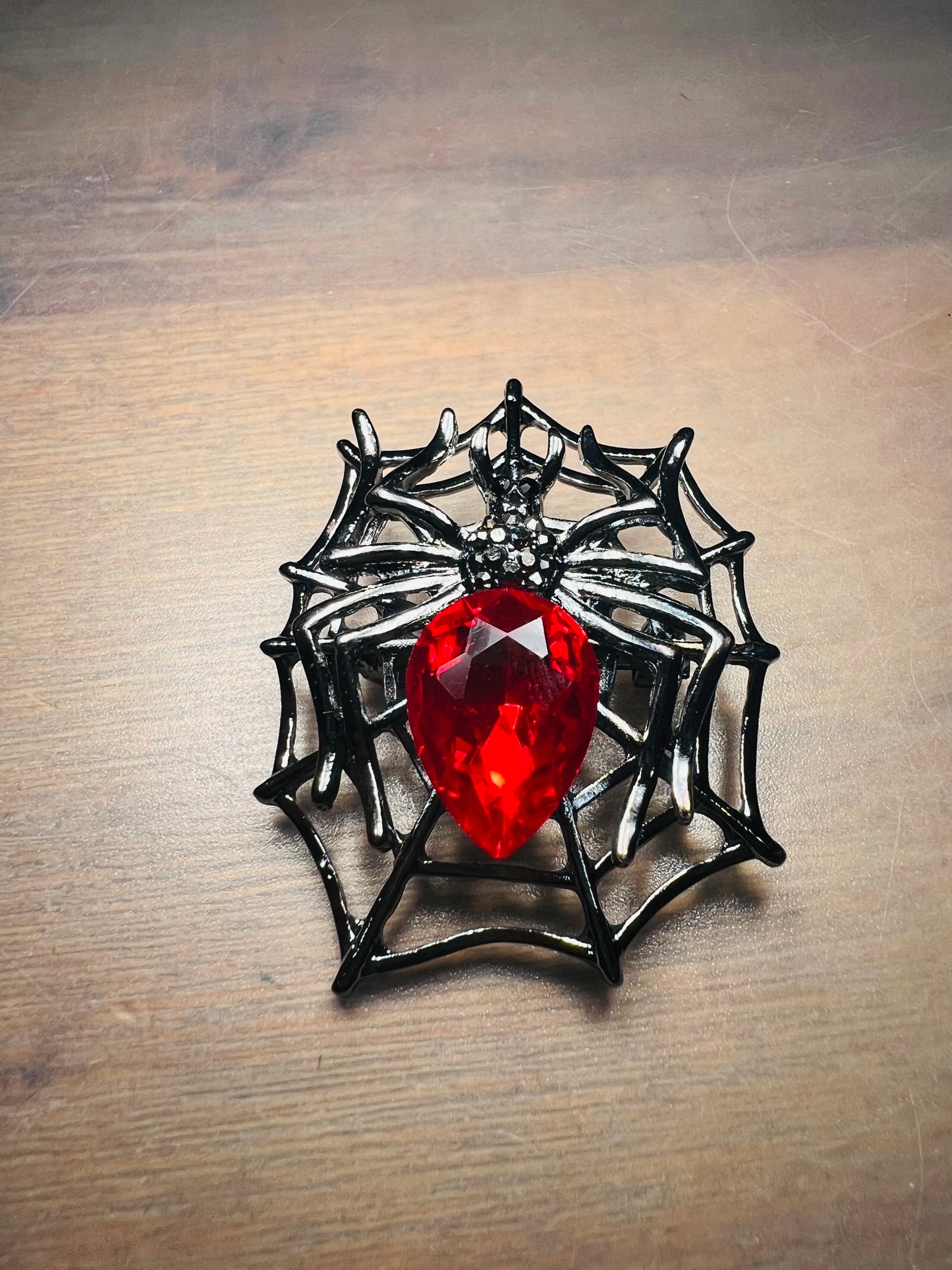 Fancy Spider in Web