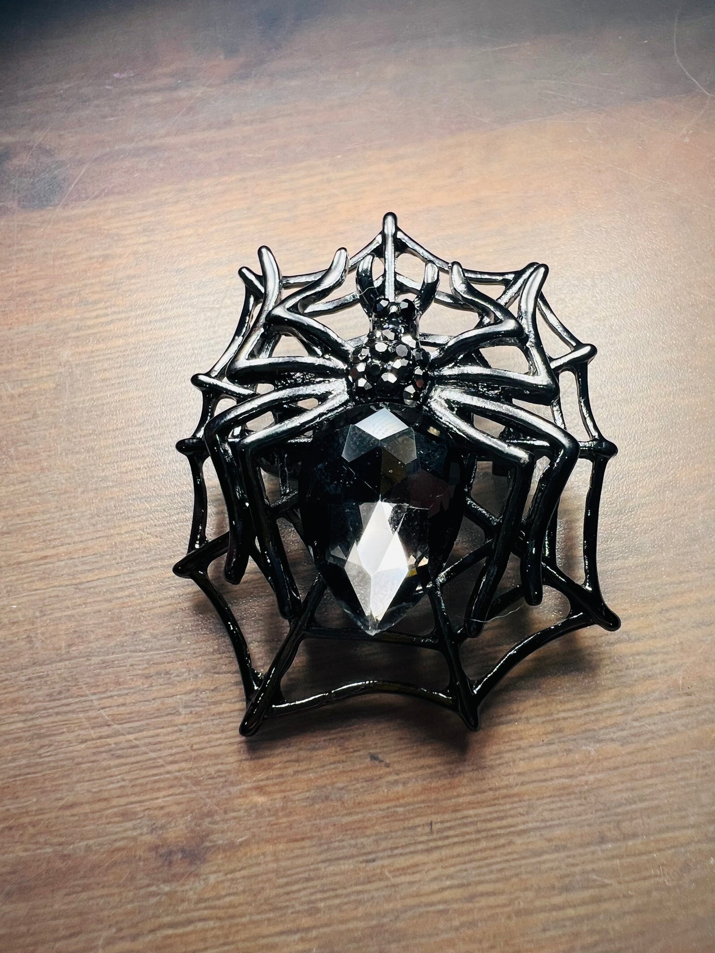 Fancy Spider in Web