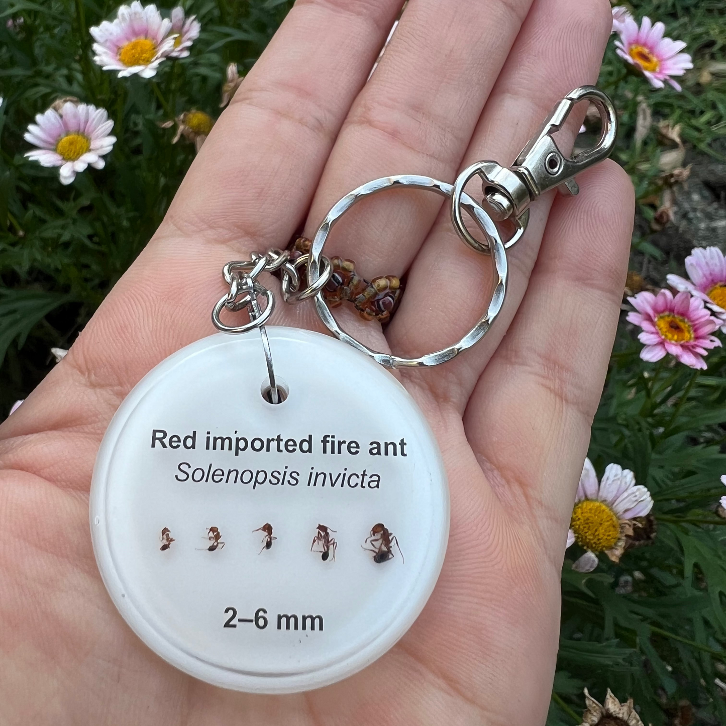 Red Imported Fire Ant keychains