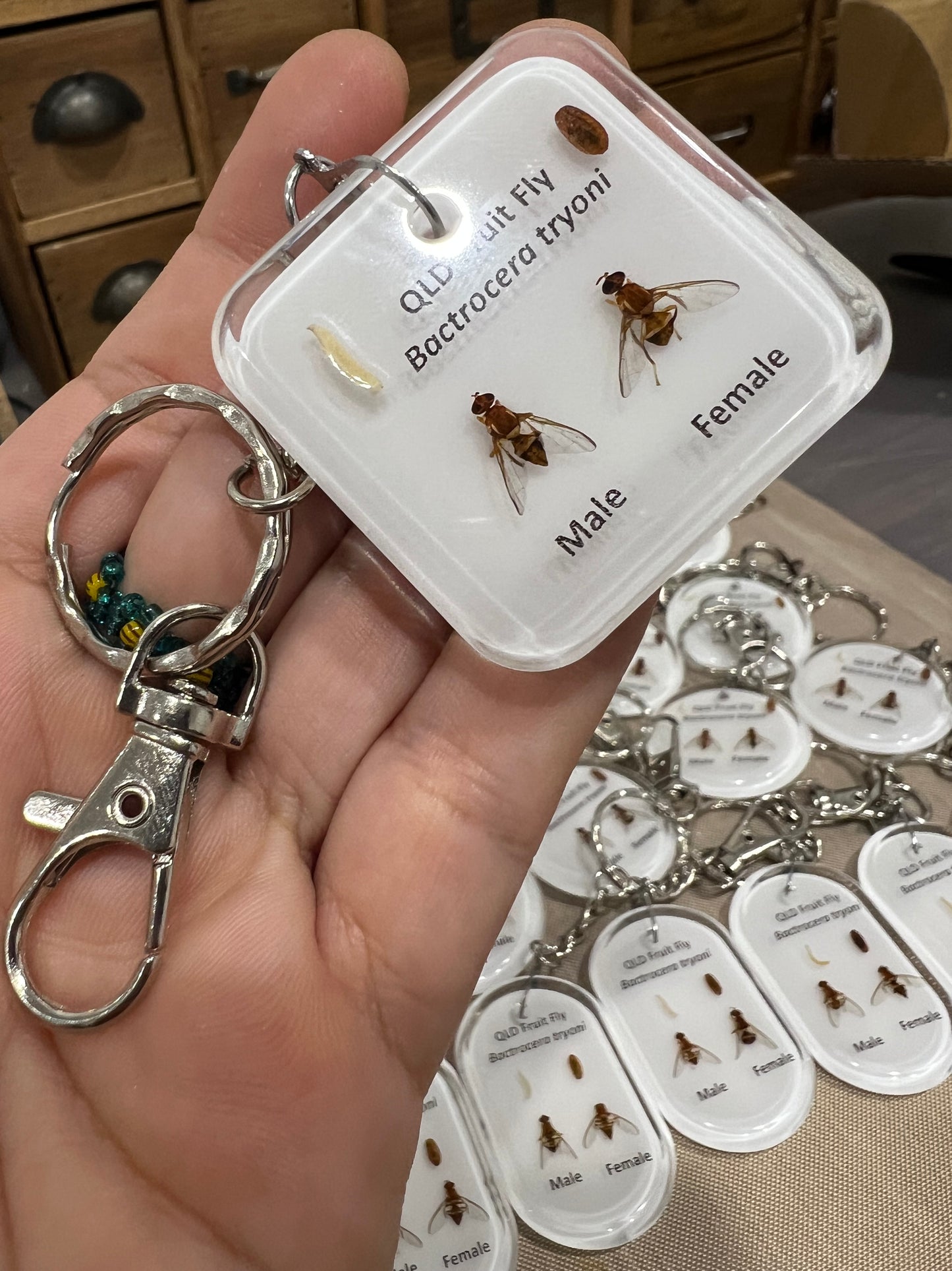 QFly resin keepsake