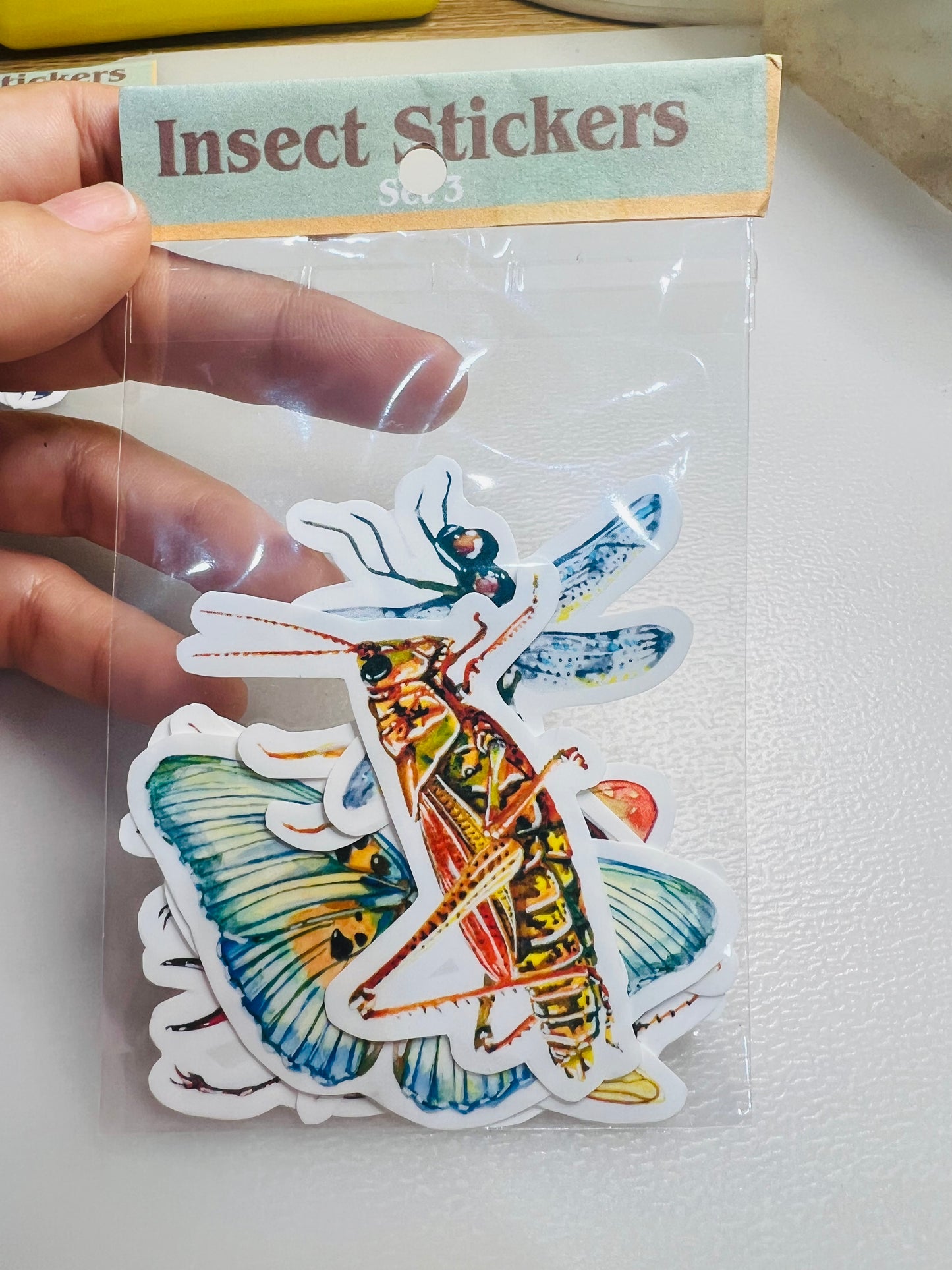 Insect stickers - 8 stickers