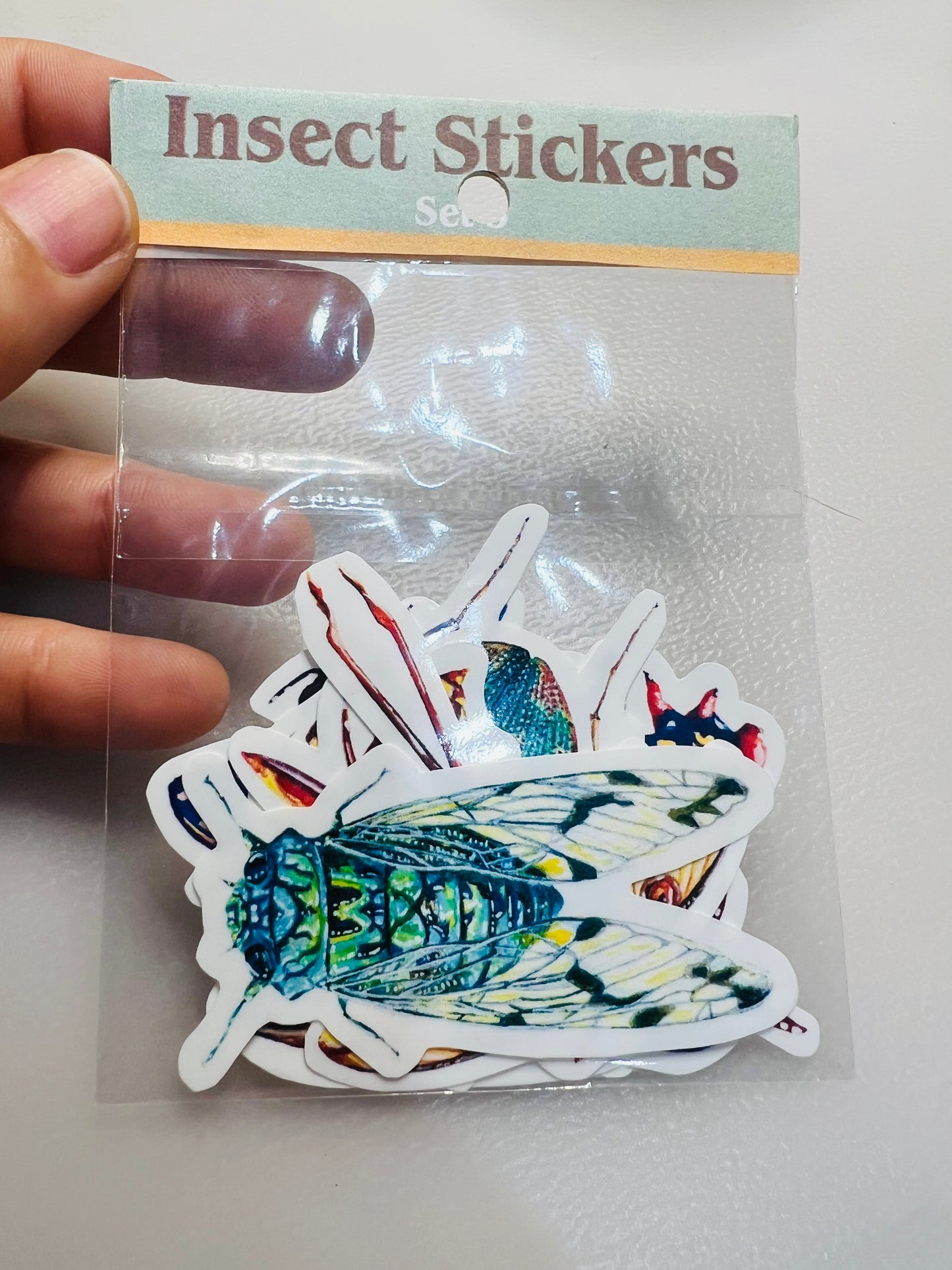 Insect stickers - 8 stickers