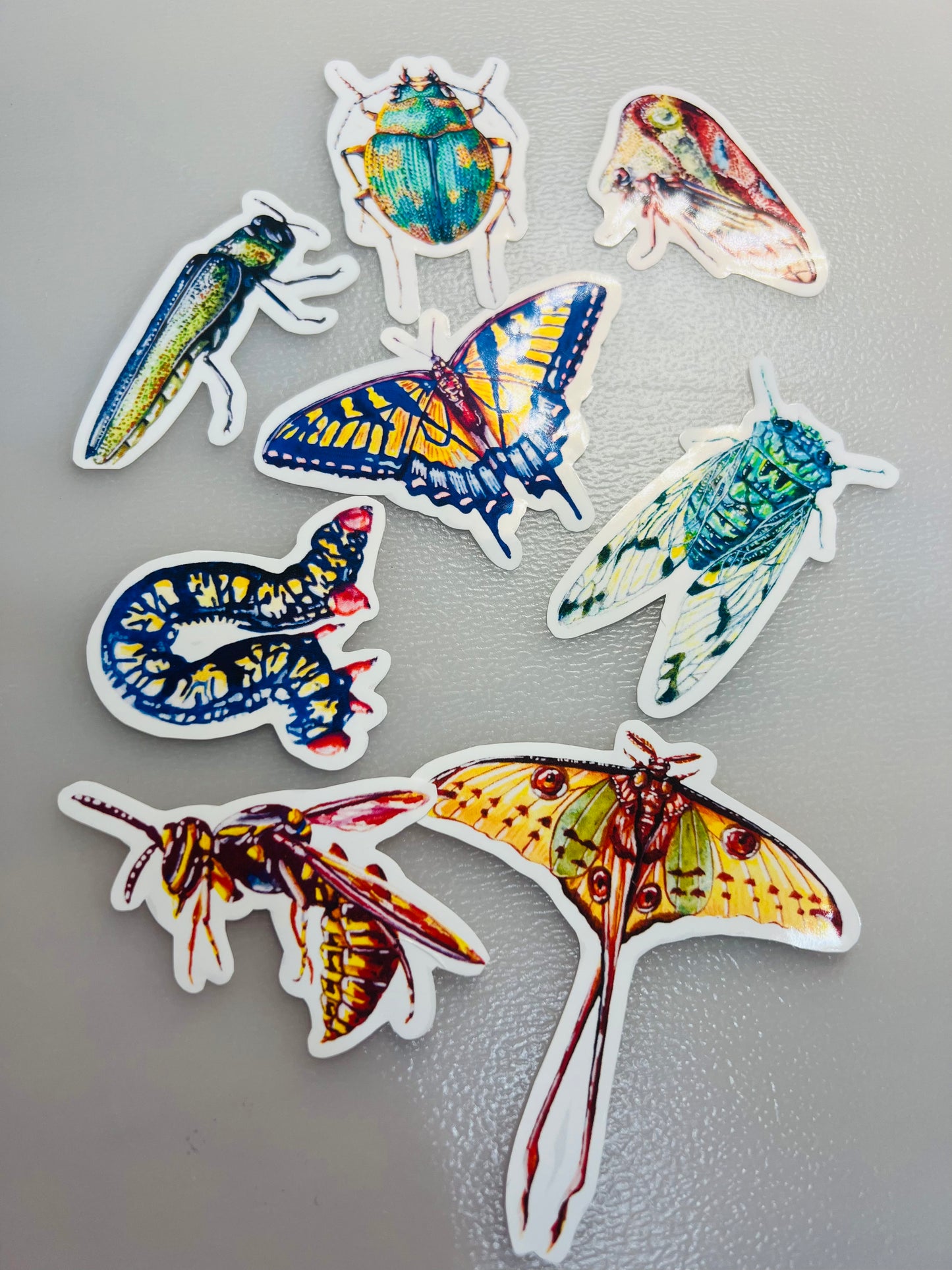 Insect stickers - 8 stickers