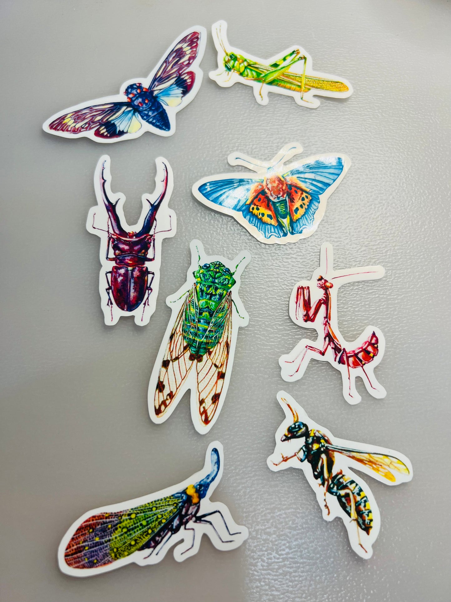 Insect stickers - 8 stickers