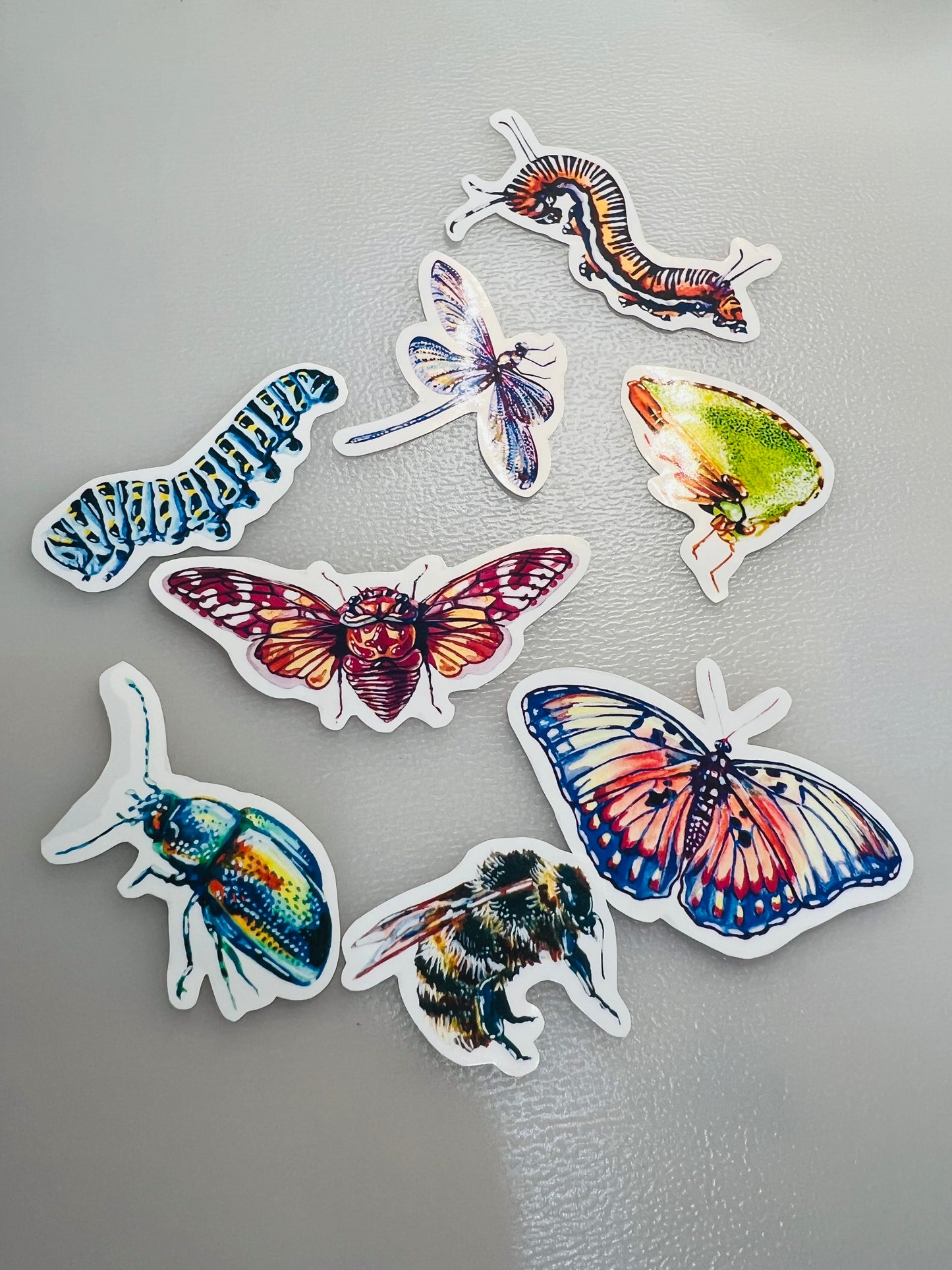 Insect stickers - 8 stickers