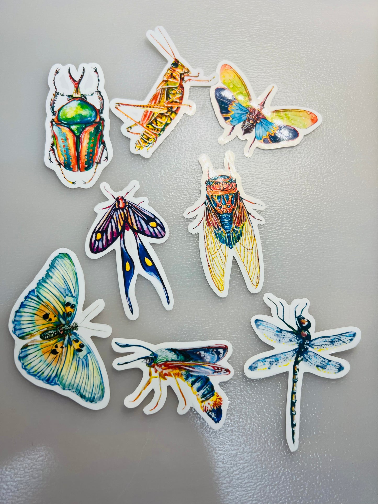 Insect stickers - 8 stickers