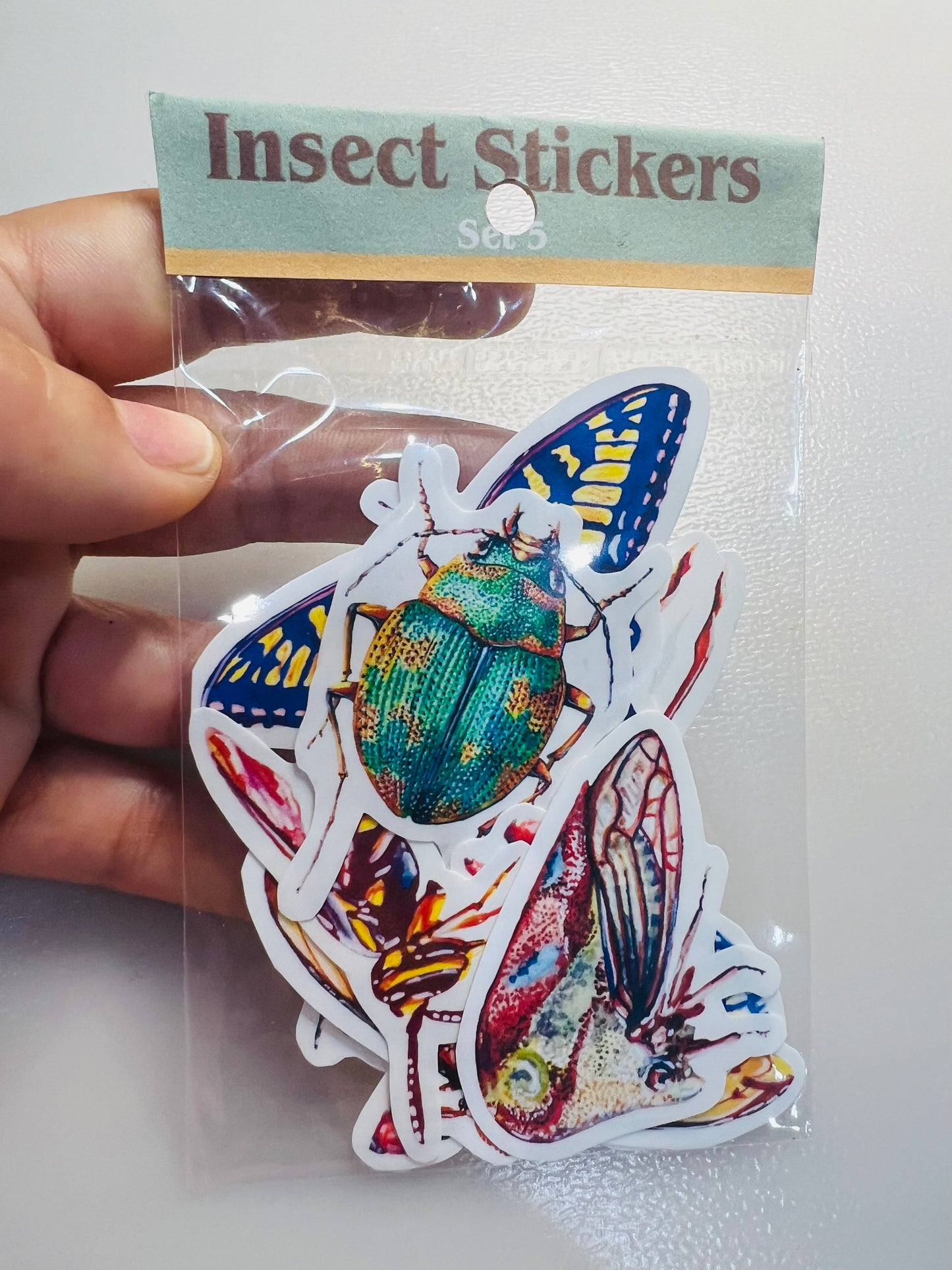 Insect stickers - 8 stickers
