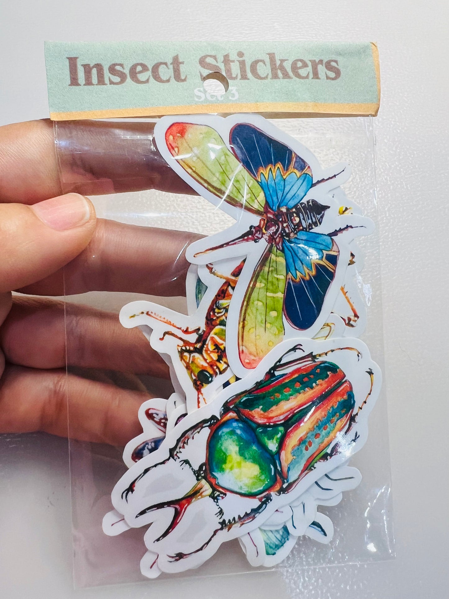 Insect stickers - 8 stickers