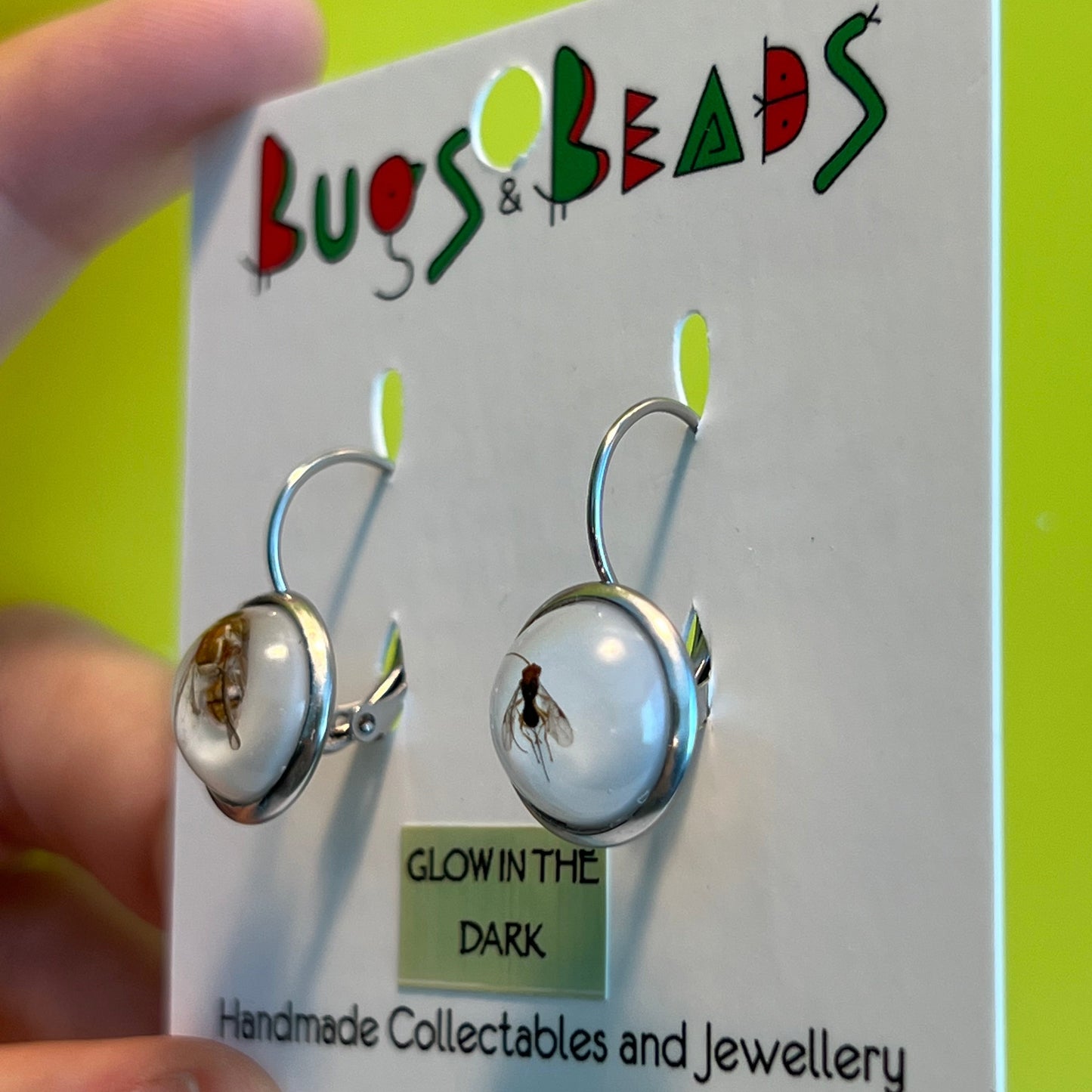 QLD Fruit Fly and parasitoid earrings
