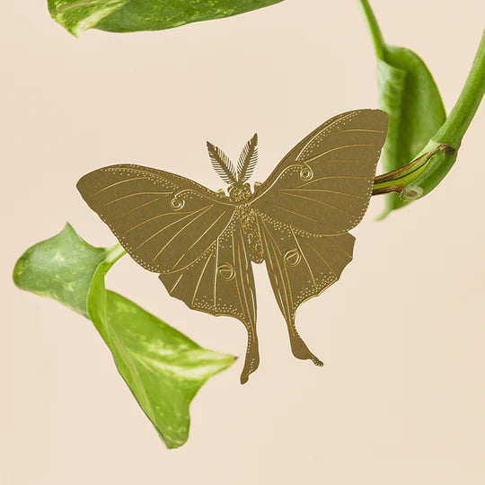 Luna moth decoration for potted plants