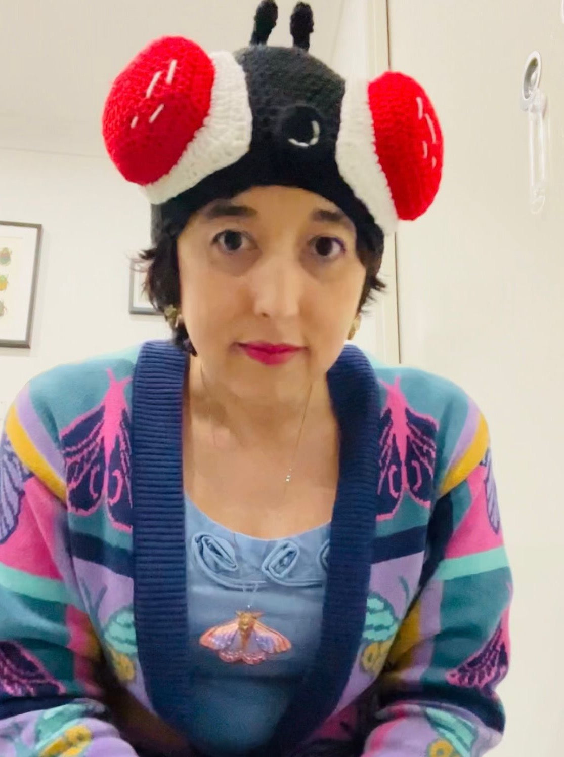 House fly beanie