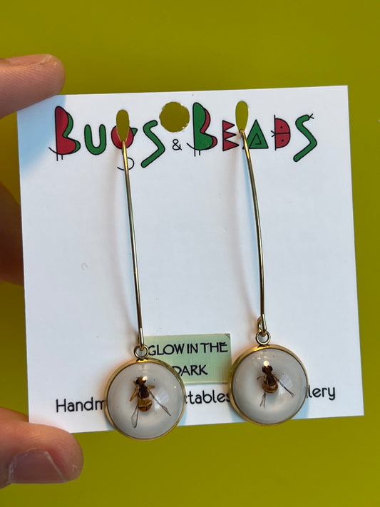 QLD Fruit Fly dangle Earrings