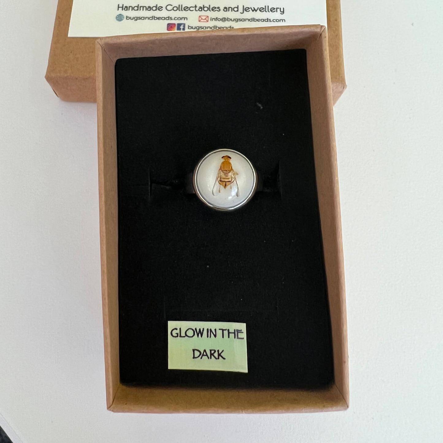 Jarvis' Fruit Fly adjustable ring