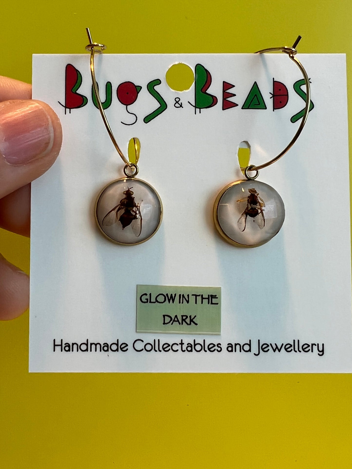 QLD Fruit Fly loop Earrings