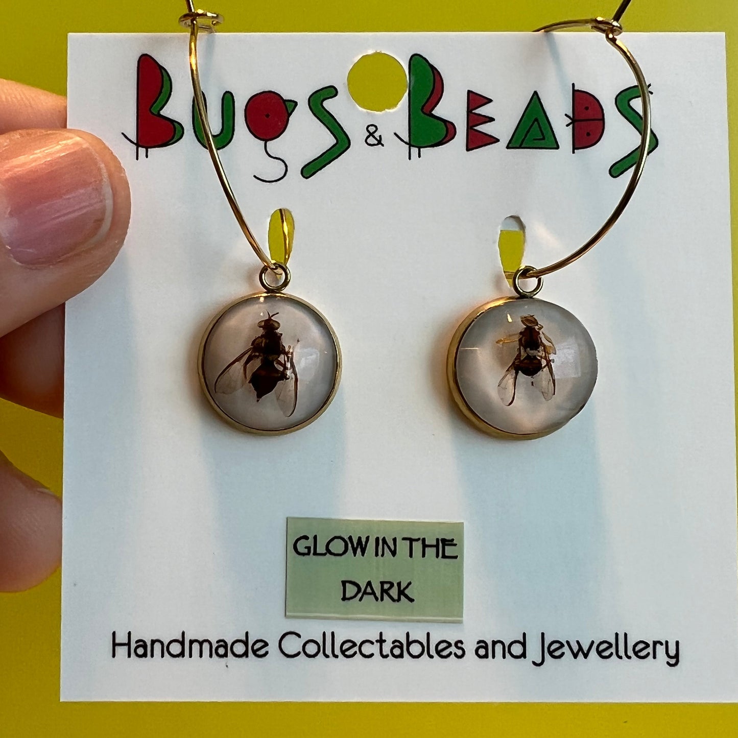 QLD Fruit Fly loop Earrings