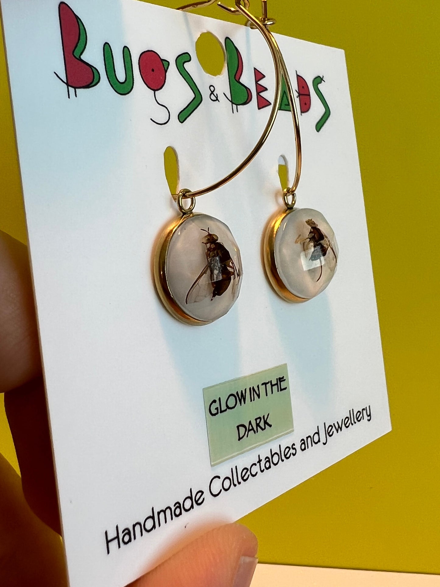QLD Fruit Fly loop Earrings