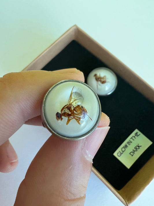 Jarvis' Fruit Fly cufflinks
