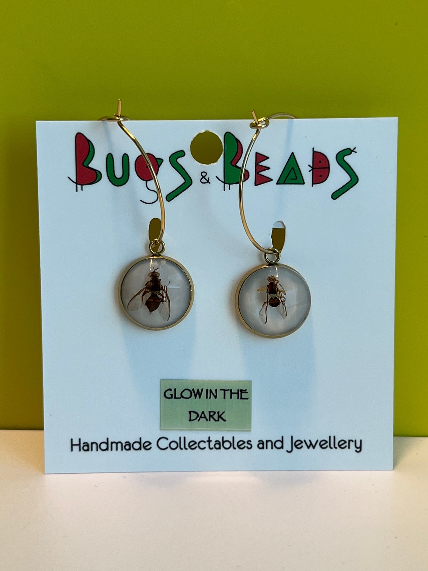 QLD Fruit Fly loop Earrings