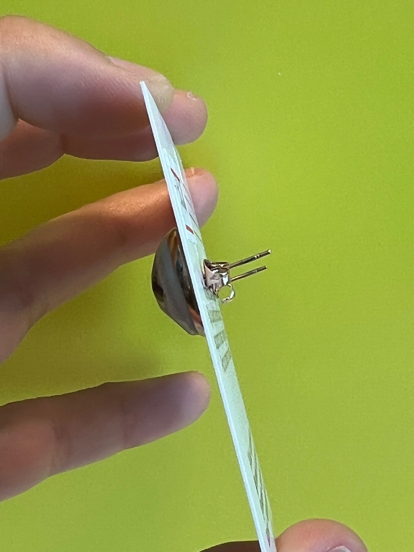 QLD Fruit Fly studs