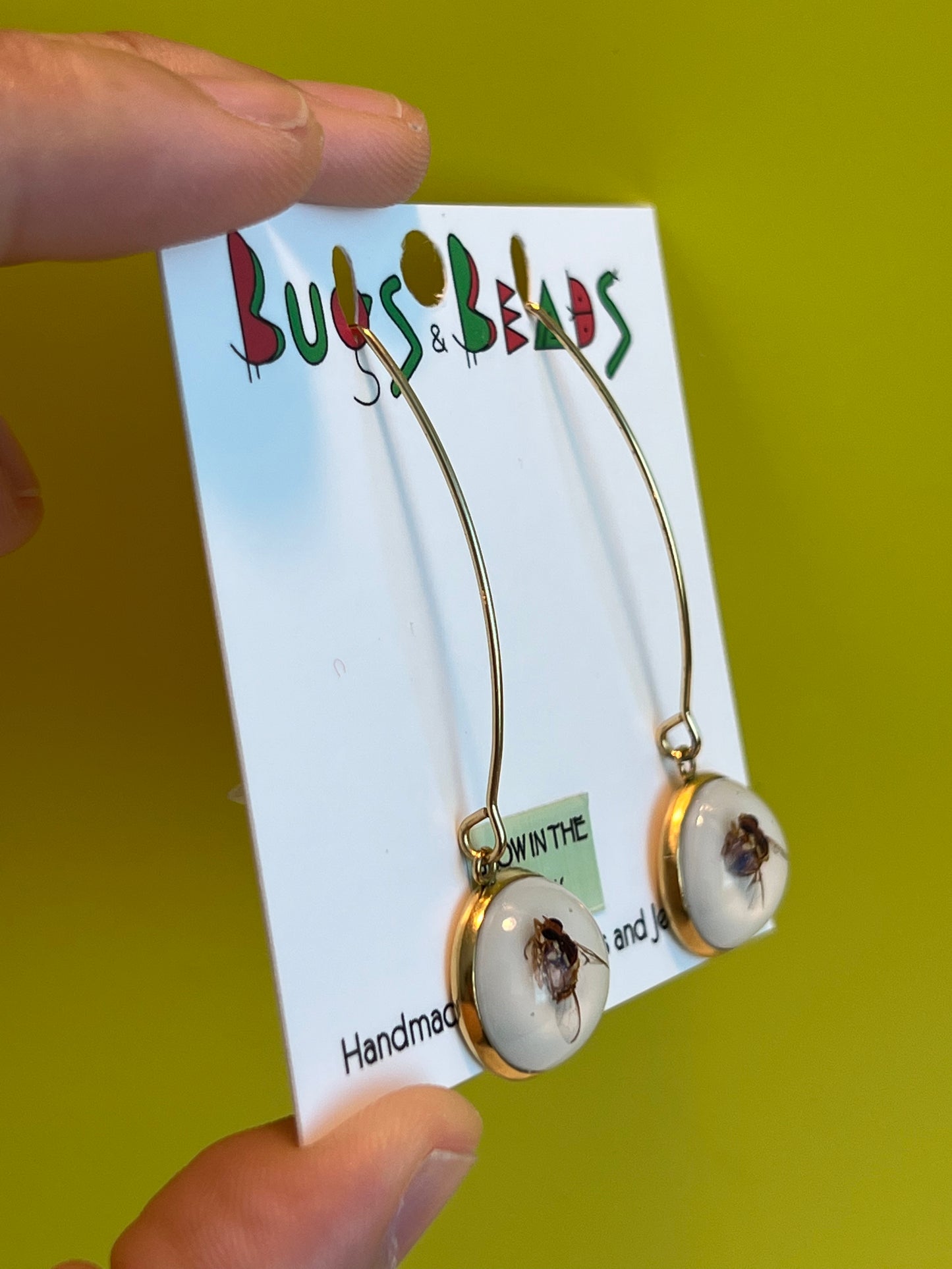 QLD Fruit Fly dangle Earrings