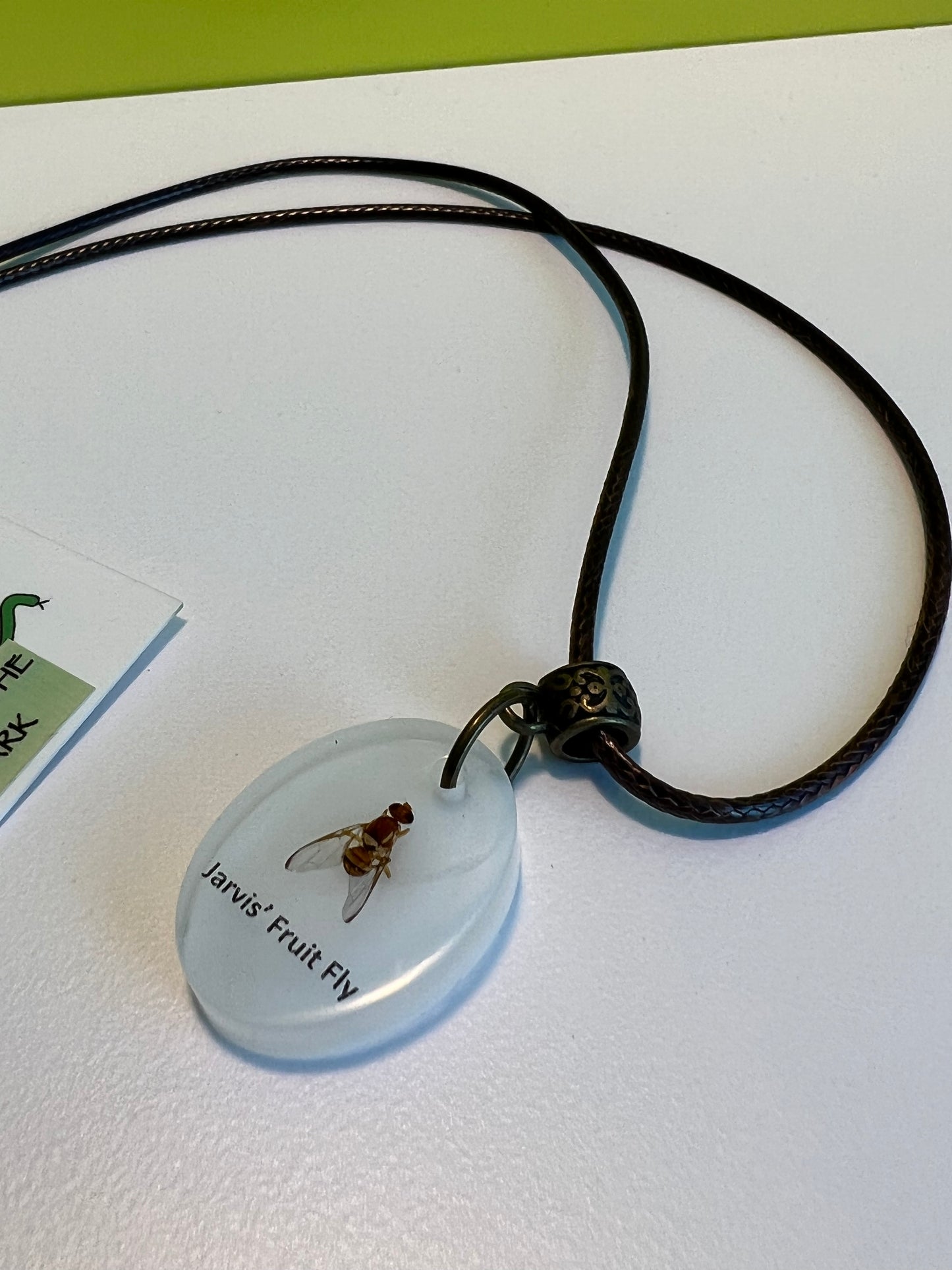 Jarvis' Fruit Fly necklace