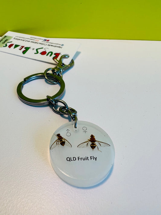 QLD Fruit Fly happy couple keepsafe keychain