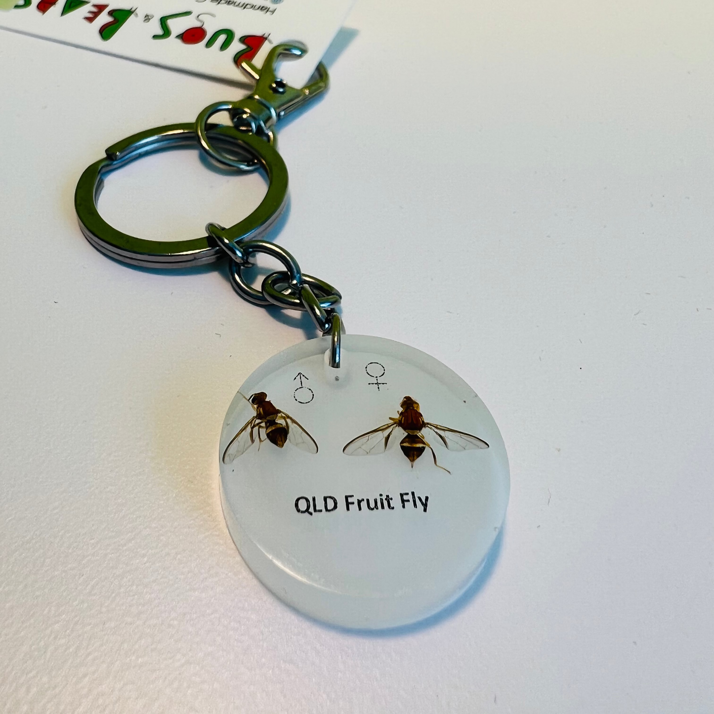 QLD Fruit Fly happy couple keepsafe keychain