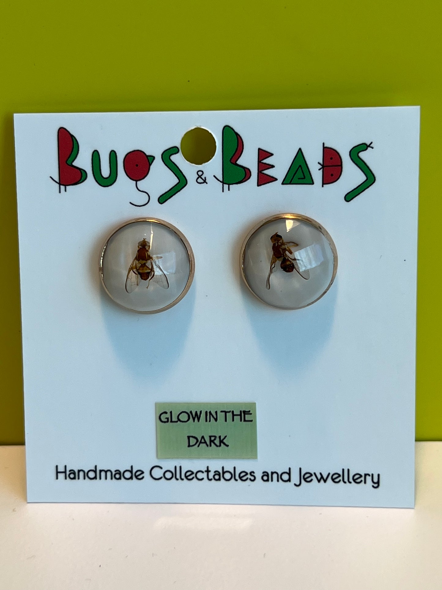 QLD Fruit Fly studs