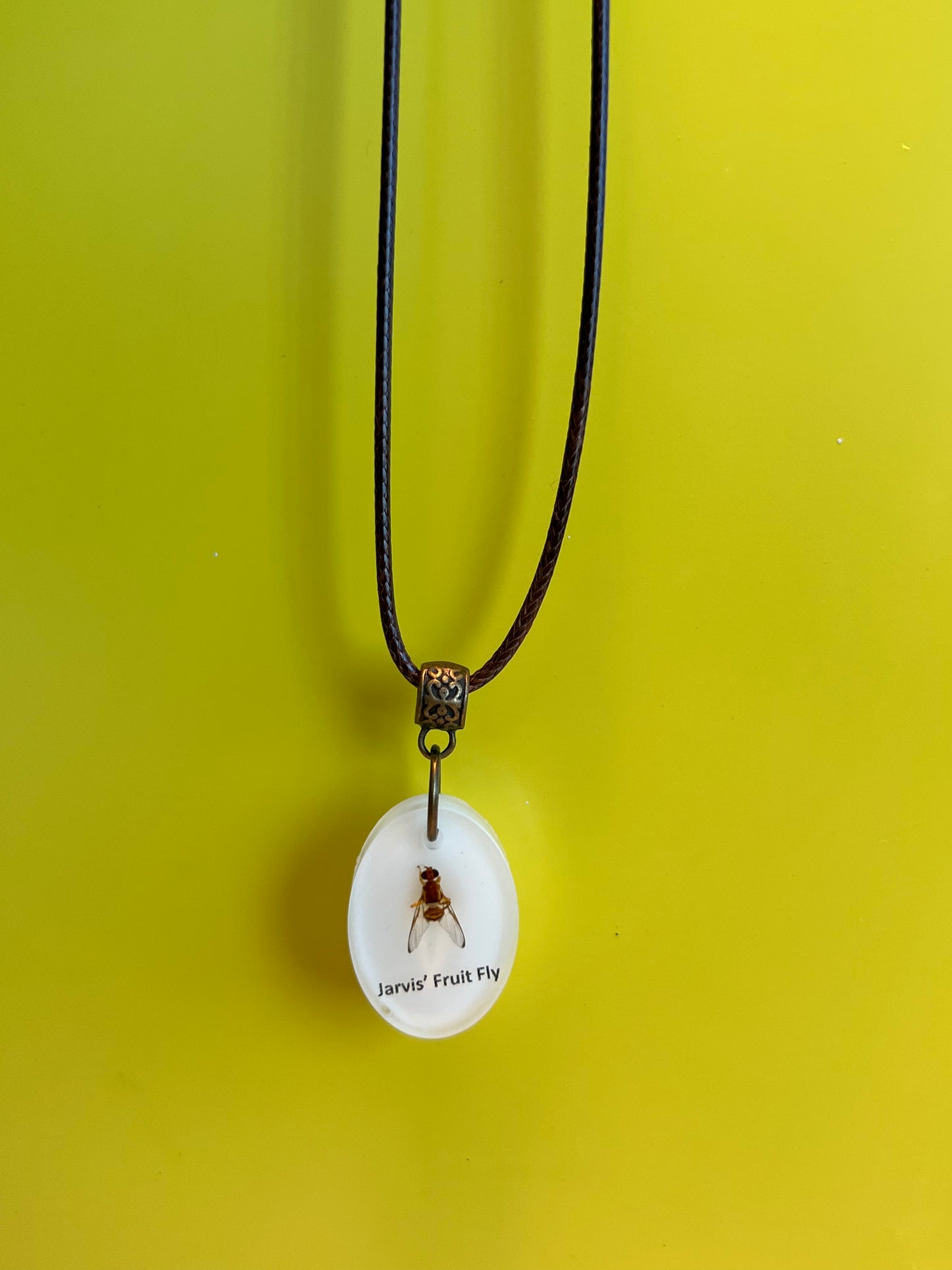 Jarvis' Fruit Fly necklace