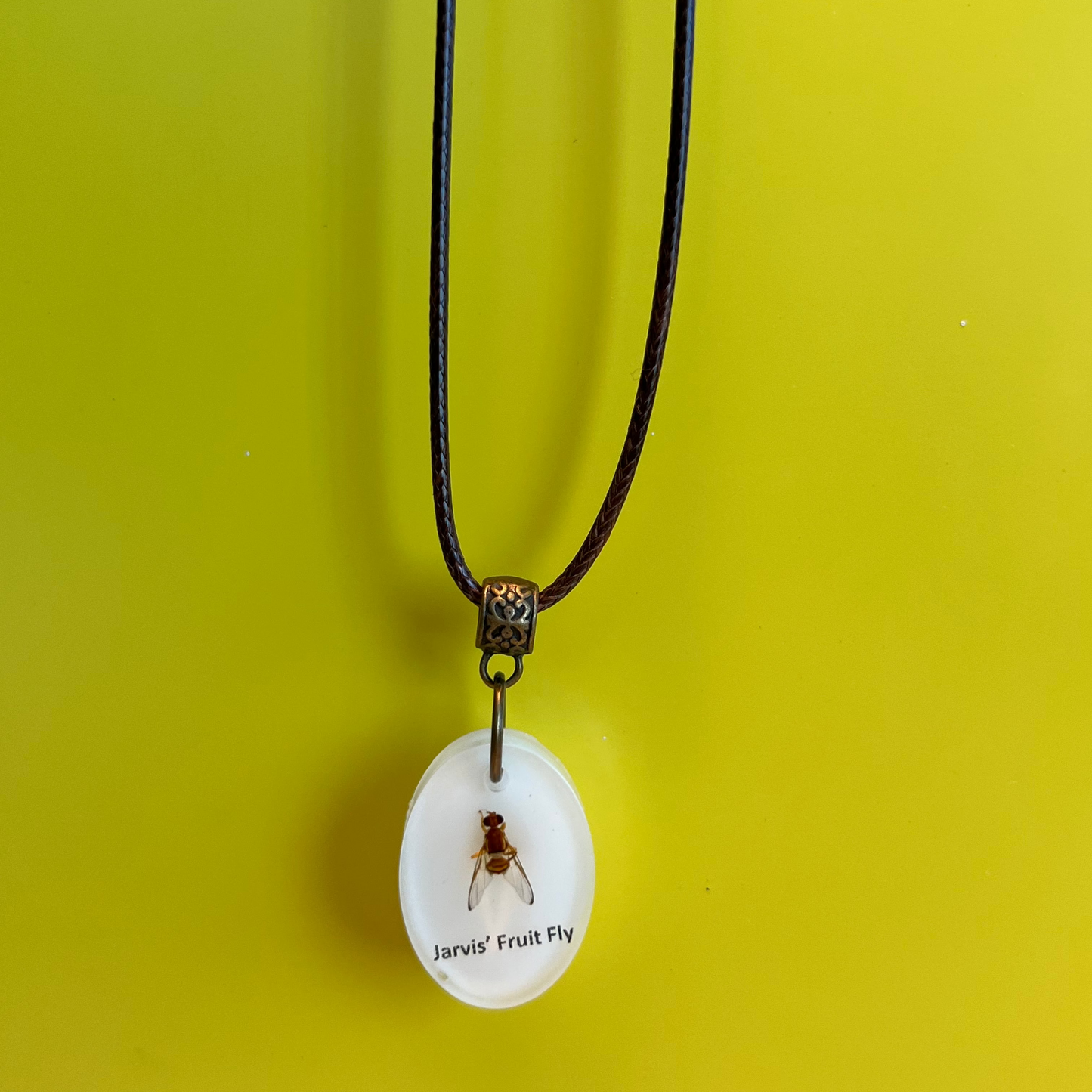 Jarvis' Fruit Fly necklace
