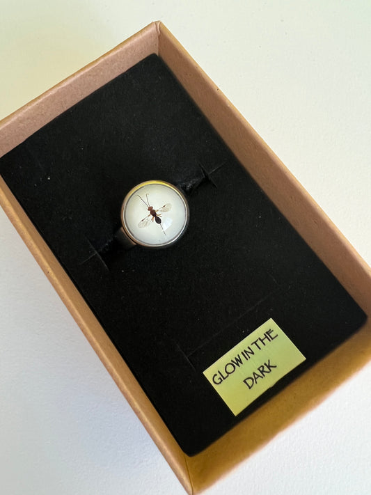 Fruit Fly parasitoid adjustable ring