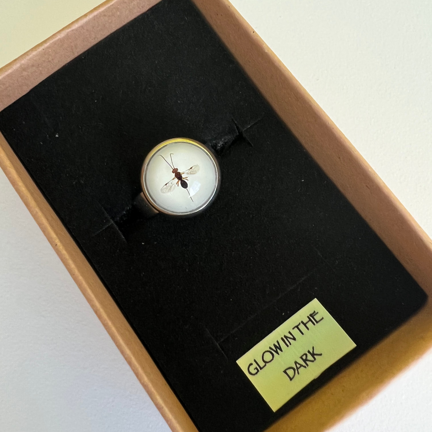 Fruit Fly parasitoid adjustable ring