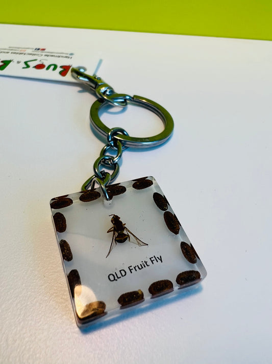 QLD Fruit Fly keepsafe keychain