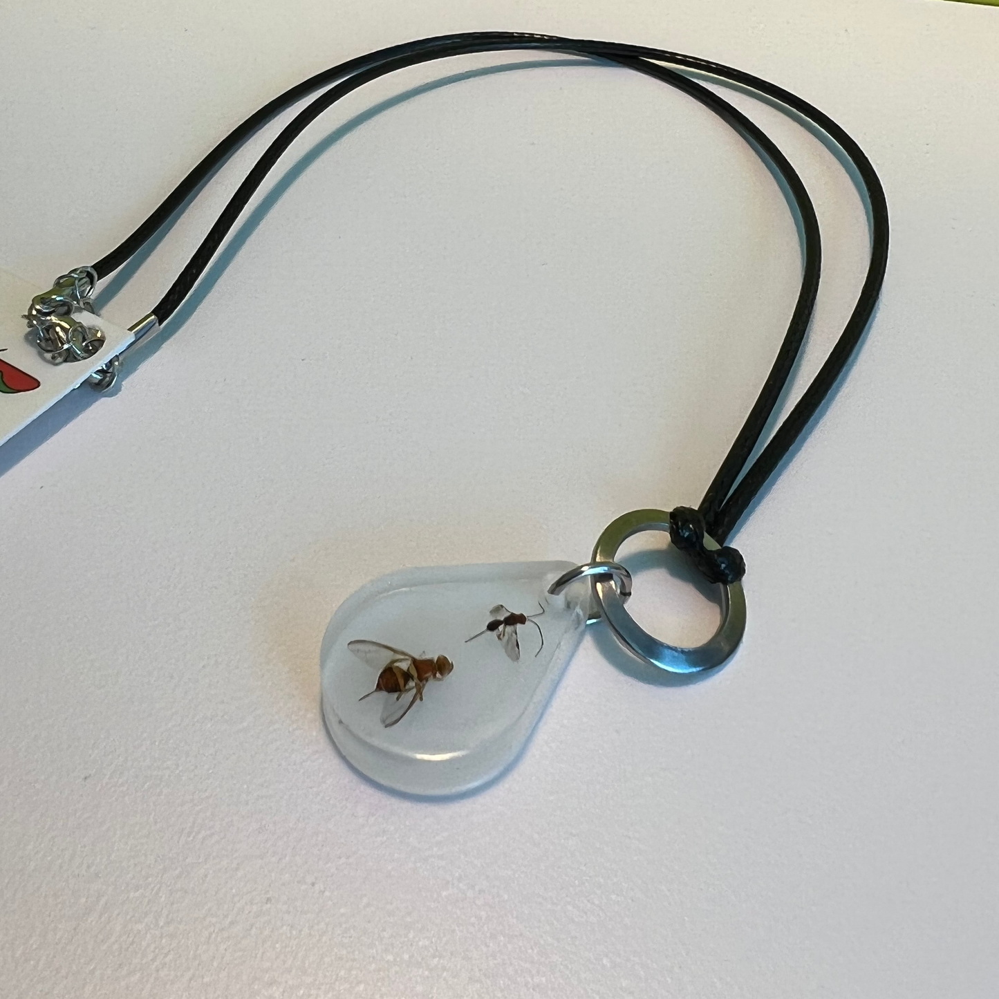 QLD Fly and parasitoid necklace